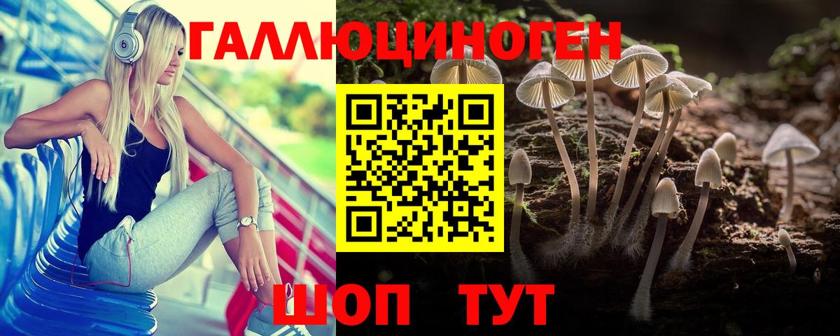 Галлюциногенные грибы мицелий  Вход с VPN  Дубна  Псилоцибиновые грибы Psilocybine cubensis 