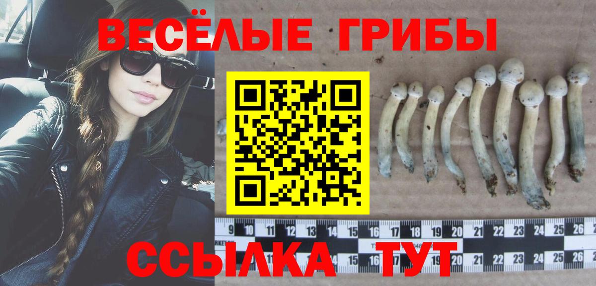 Псилоцибиновые грибы GOLDEN TEACHER Дубна