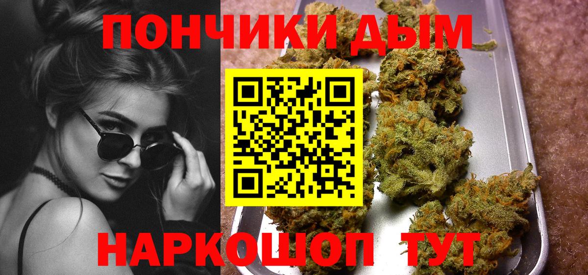 Бошки Шишки планчик Дубна